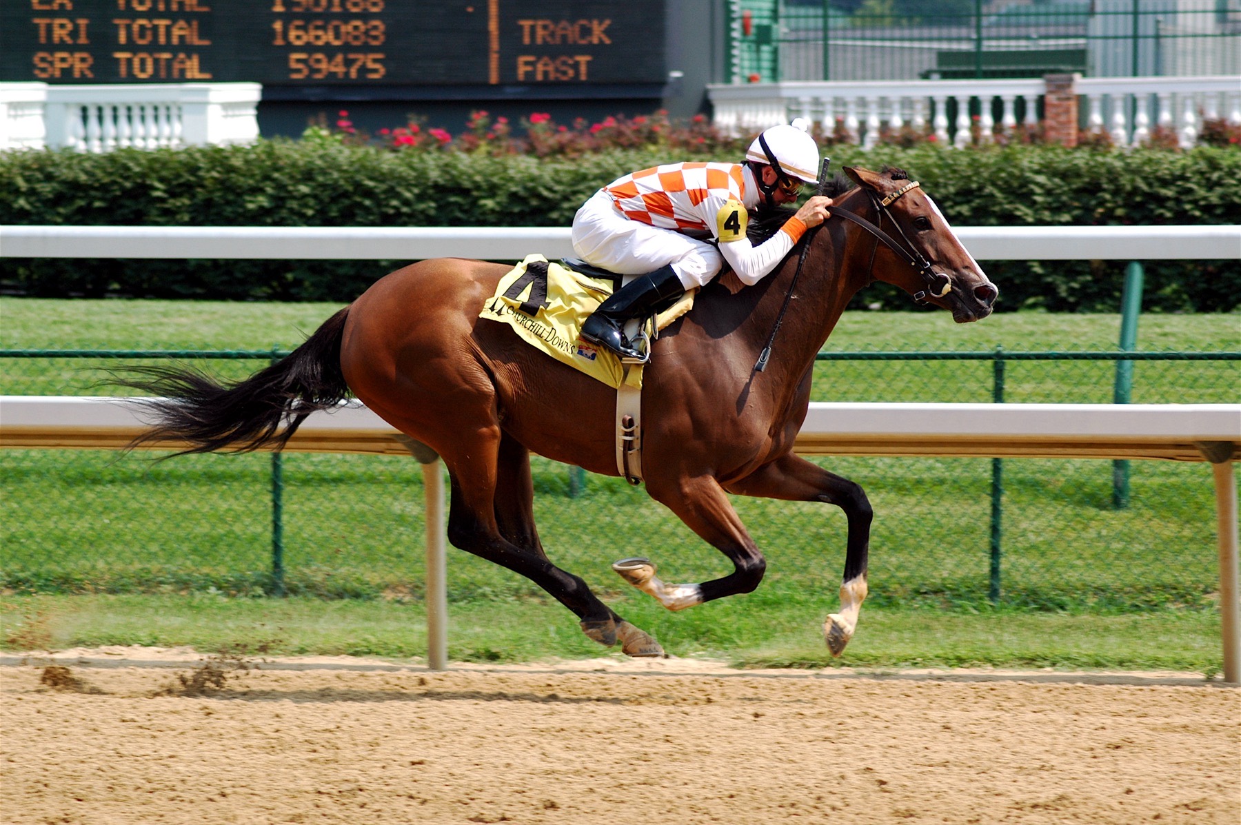 Jockey pack racing at high speed on a professional track